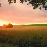 Sonne דירה